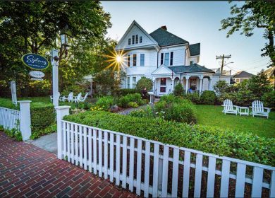 Front Yard Landscaping Ideas