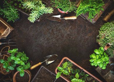 Best Garden Landscaping Ideas In Australia