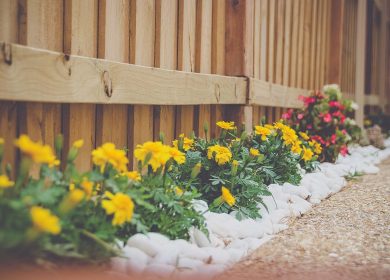 Modern Backyard Landscape Ideas No Grass