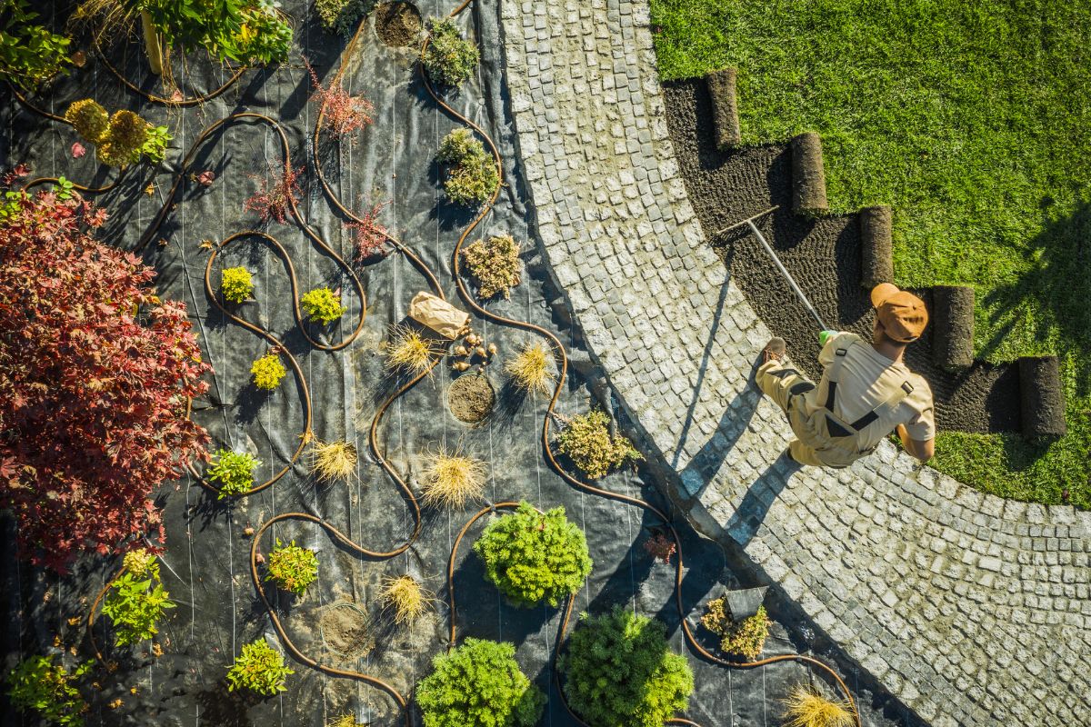 a garden with a small lawn