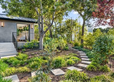 10 Low Maintenance Front Yard Australian Native Garden Design Ideas