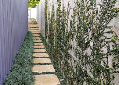 Architect Landscaping design