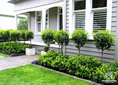 Landscaper East Brisbane