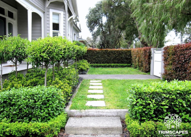 Landscaper Bowen Hills, Brisbane